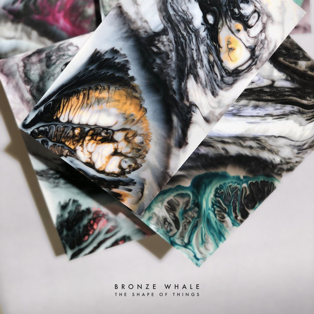 The Shape Of Things album cover