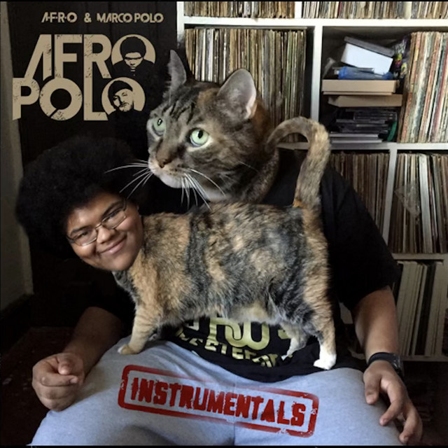 A-F-R-O Polo (Instrumentals) album cover
