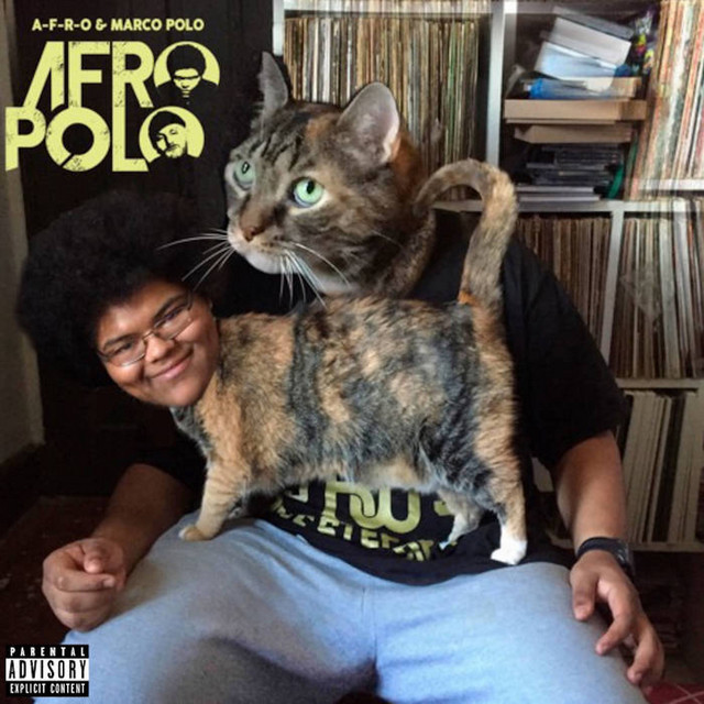 A-F-R-O Polo album cover