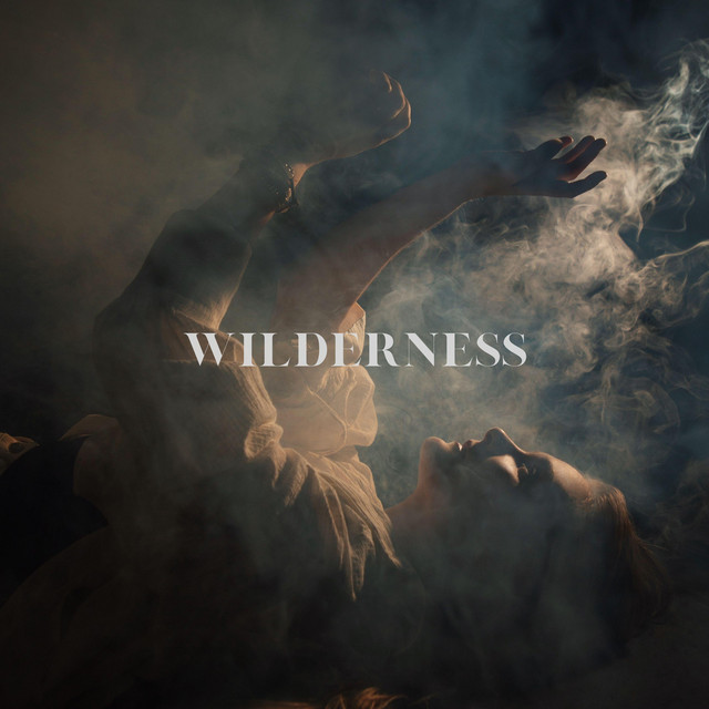 Wilderness album cover