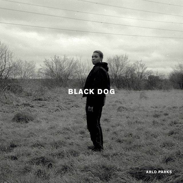 Fender Player Jazzmaster as heard on Black Dog by Arlo Parks (2020)