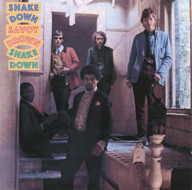 Shake Down album cover