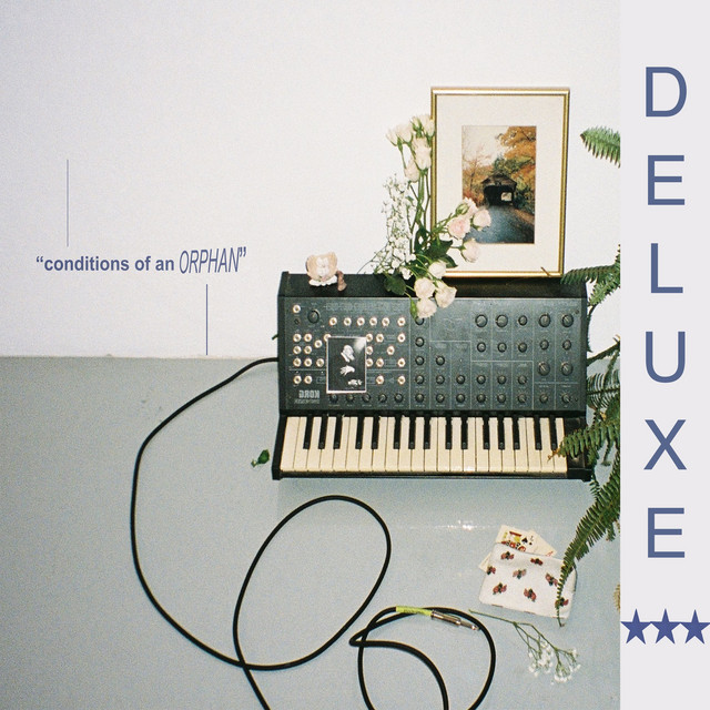 conditions of an orphan// deluxe edition album cover