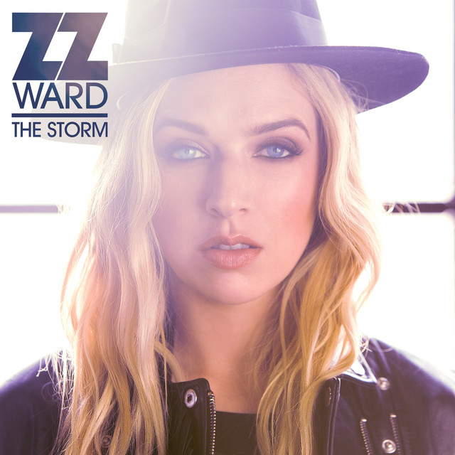 The Storm album cover