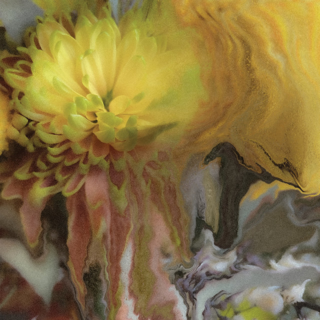 Wilderness Within You album cover