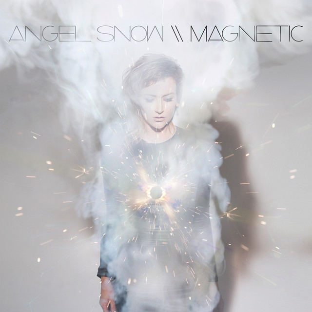 Magnetic album cover