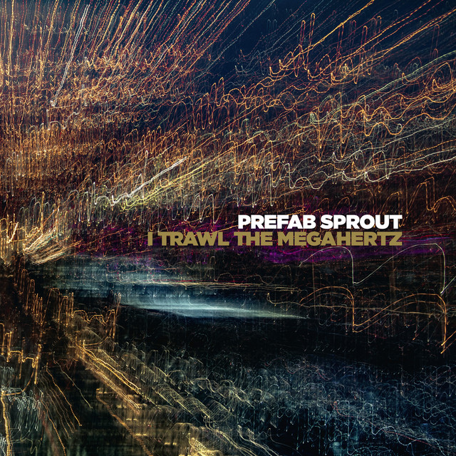 I Trawl the Megahertz album cover