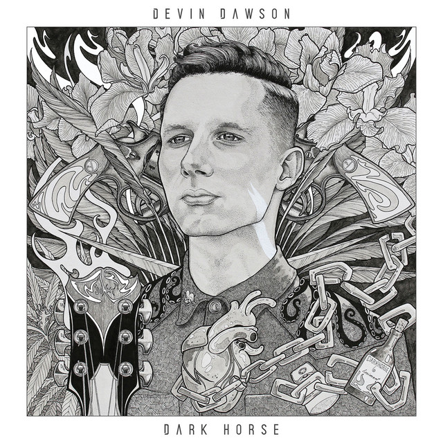 Dark Horse album cover
