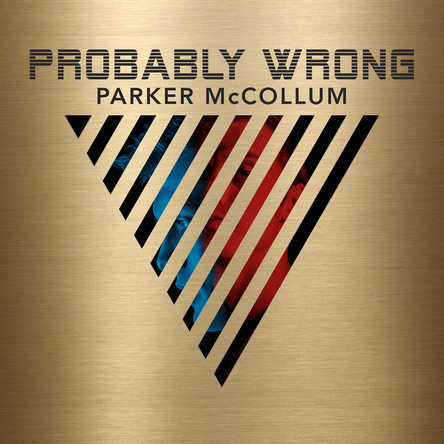 Probably Wrong album cover