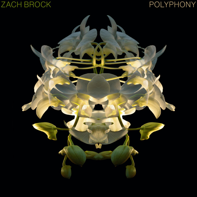 Polyphony album cover