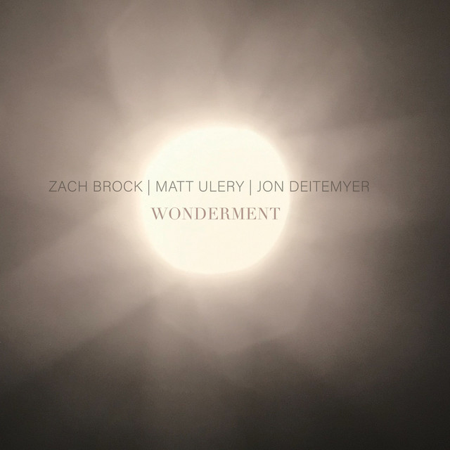 Wonderment album cover