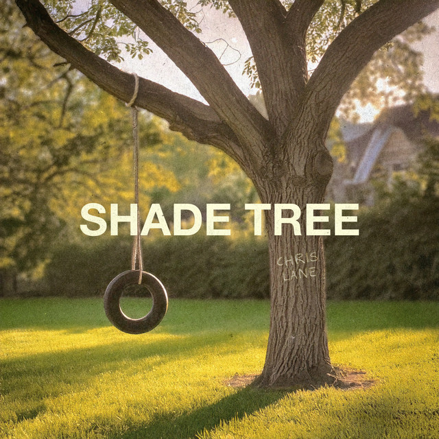 Shade Tree album cover