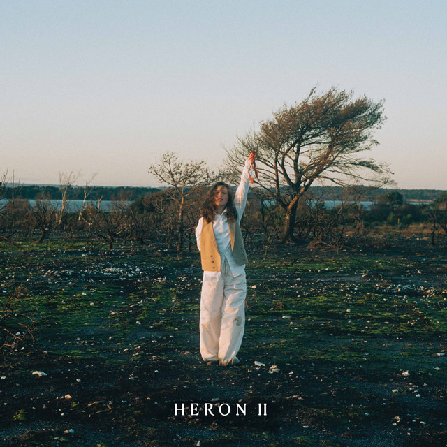 Heron II album cover