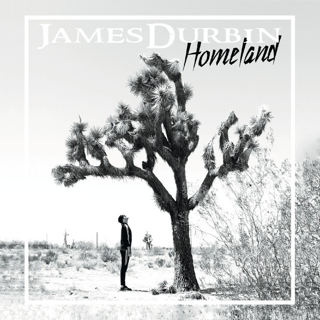 Homeland album cover