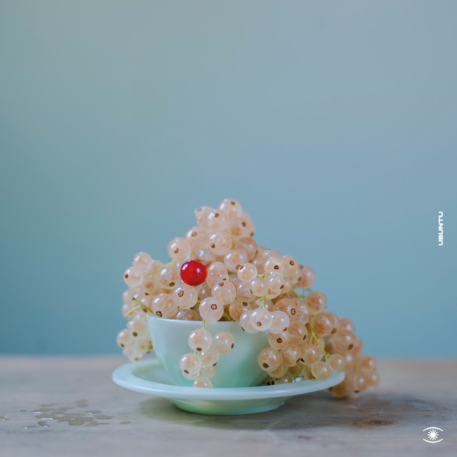 Ubuntu album cover