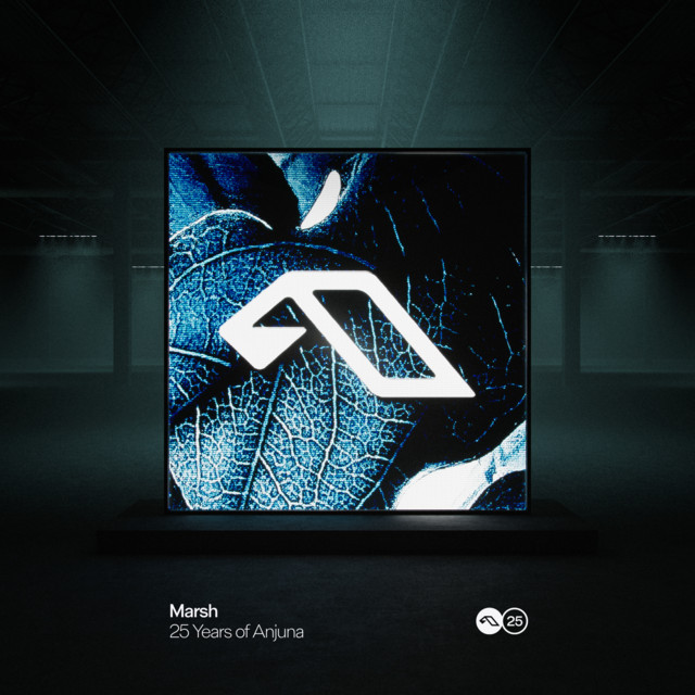 25 Years Of Anjuna Mixed By Marsh album cover