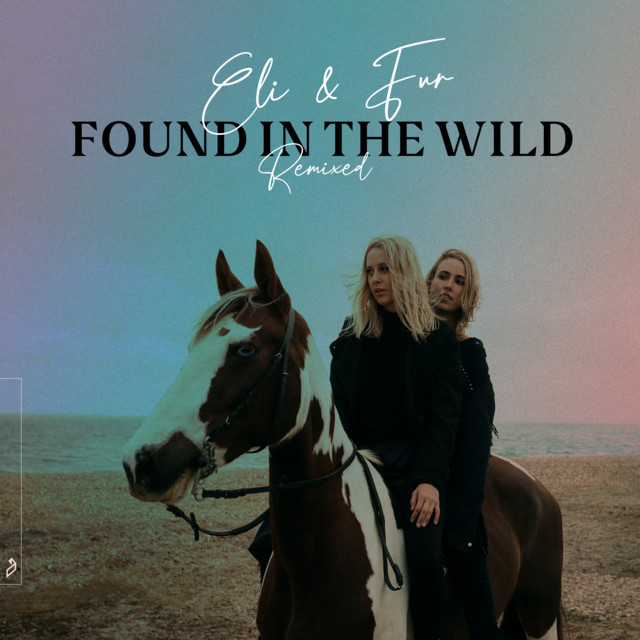 Found In The Wild (Remixed) album cover