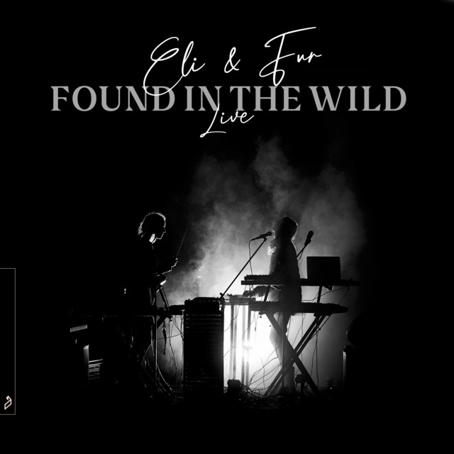Found In The Wild (Live) album cover