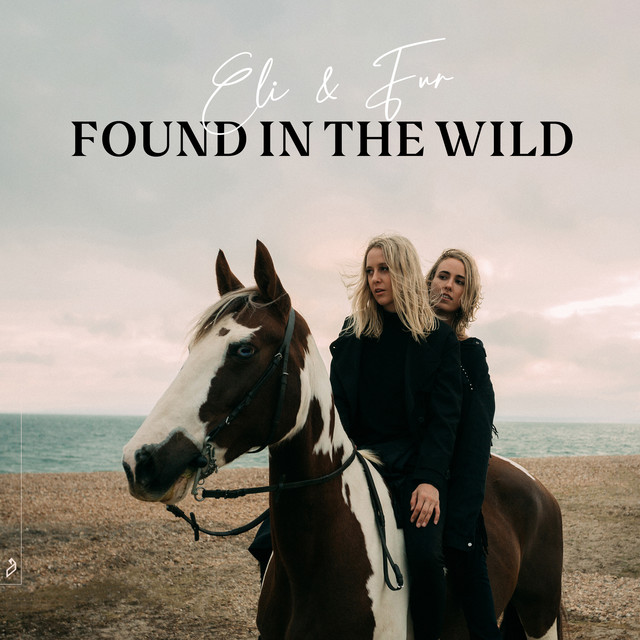 Found In The Wild album cover