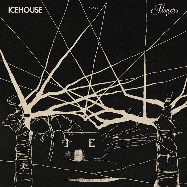 ICEHOUSE Plays Flowers Live album cover