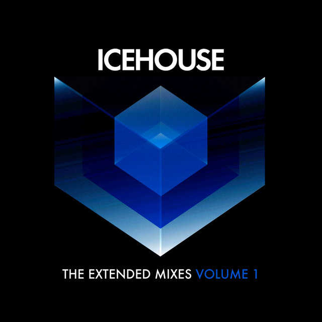 The Extended Mixes Vol. 1 album cover