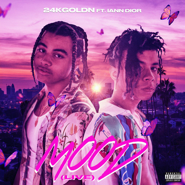 Sony C-800G as heard on Mood (feat. iann dior) [Live] by 24kGoldn & iann dior (2021)