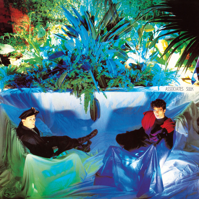 Sulk album cover