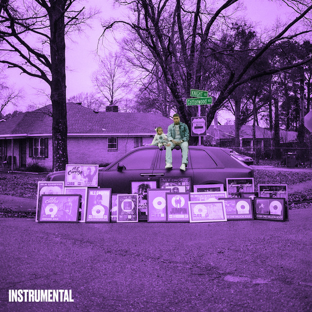 Cottonwood 2 (Instrumental) album cover