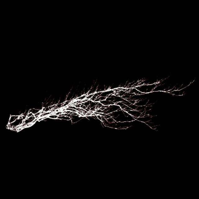 Pure Noise album cover