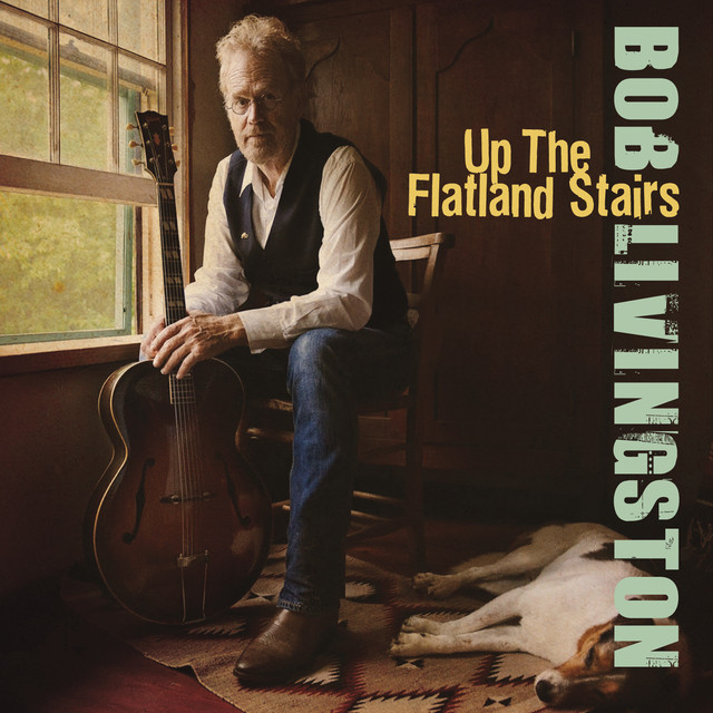 Up the Flatland Stairs album cover