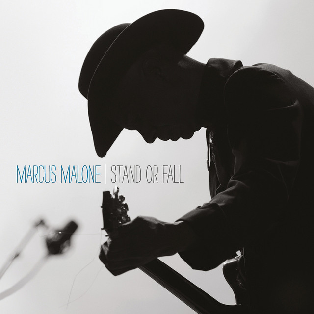 Stand or Fall album cover
