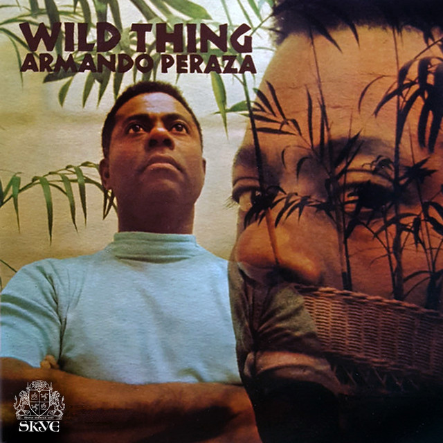 Wild Thing album cover
