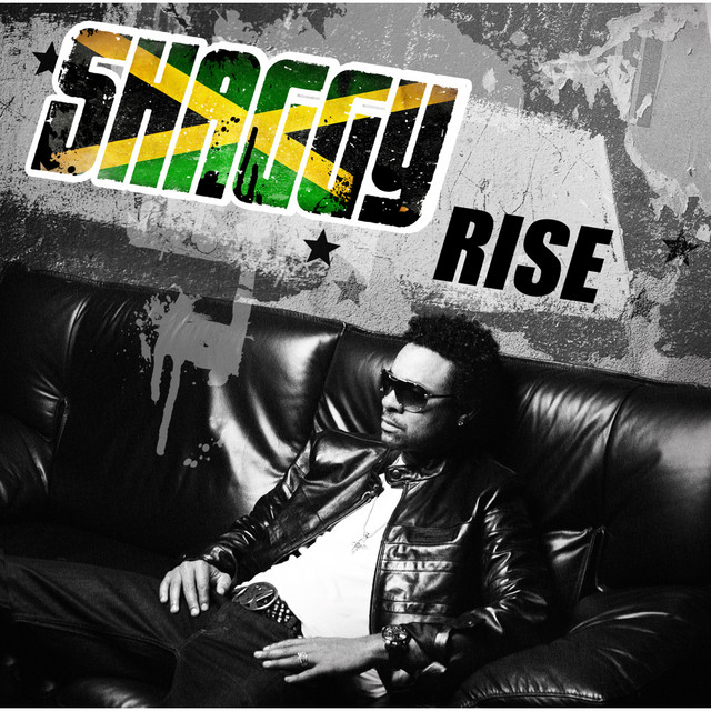 Rise album cover