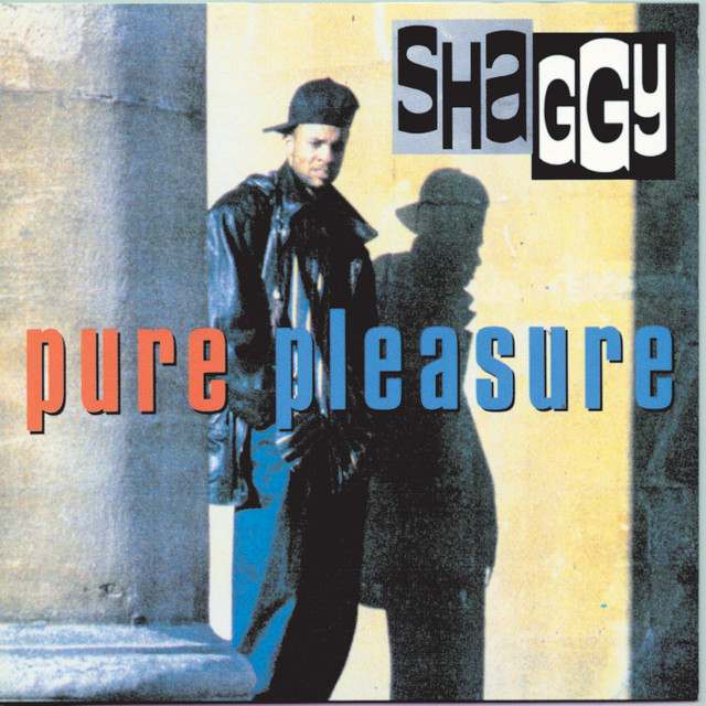 Pure Pleasure album cover