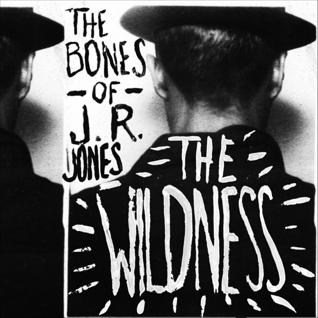 The Wildness album cover