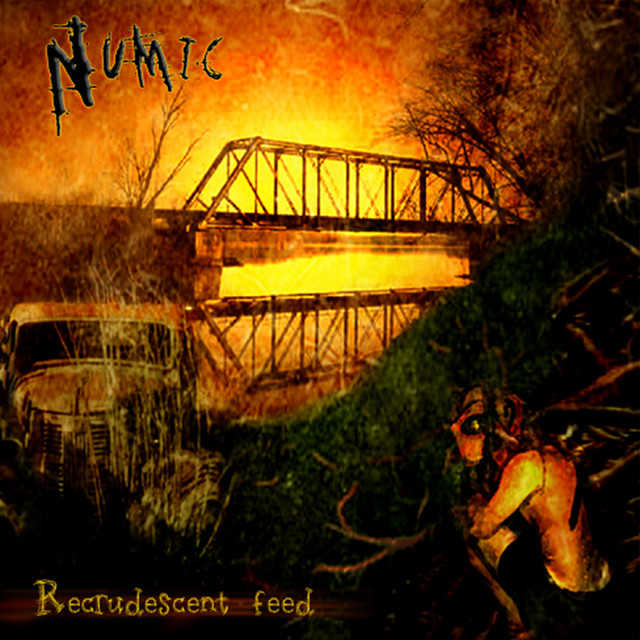 Recrudescent Feed album cover