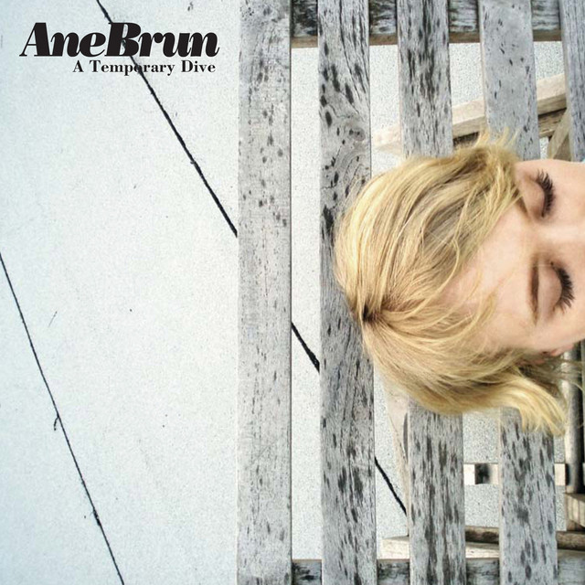 A Temporary Dive album cover