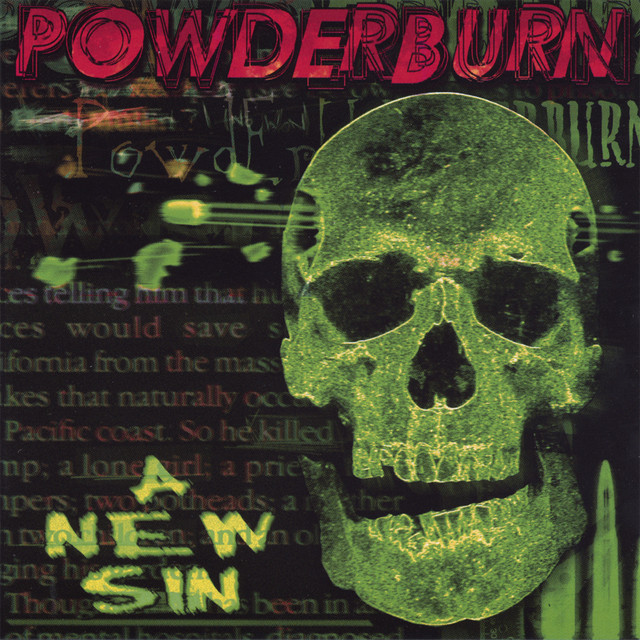 A New Sin album cover