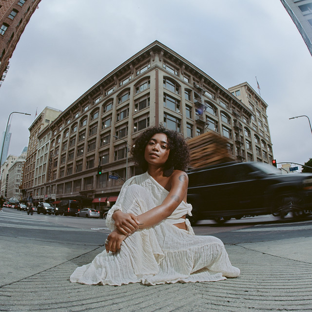 Forest in the City album cover