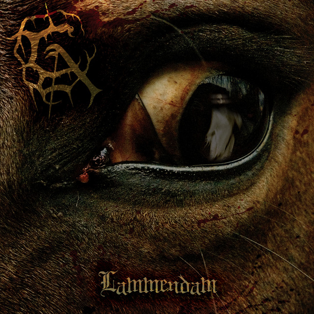 Lammendam album cover