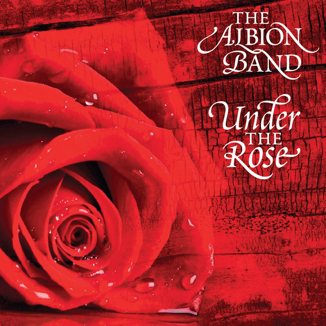 Under the Rose album cover