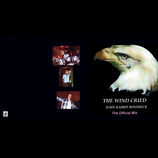 The Wind Cried - The Official Mix album cover