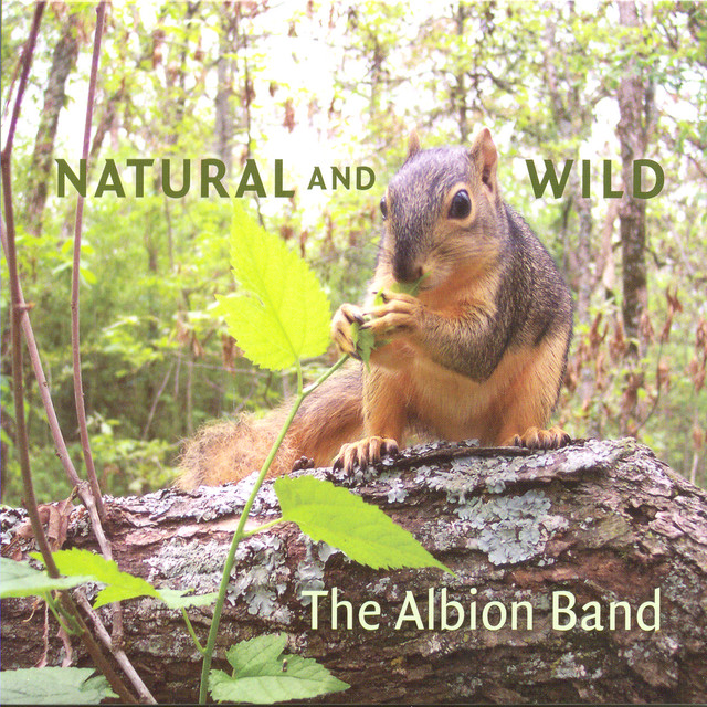Natural and Wild album cover