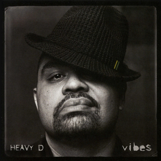 Vibes (Bonus Track Version) album cover