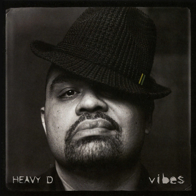 Vibes album cover
