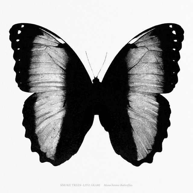Monochrome Butterflies album cover