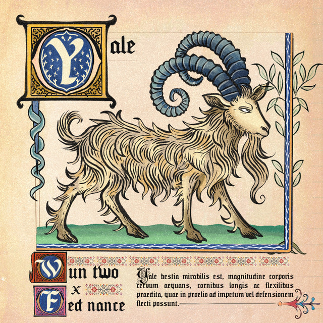 yale
