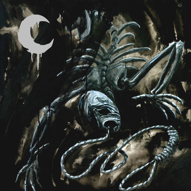 A Silhouette in Splinters album cover