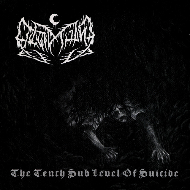 The Tenth Sub Level Of Suicide album cover