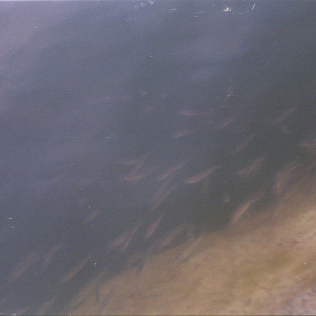 Creek Tape, Vol. 1 album cover